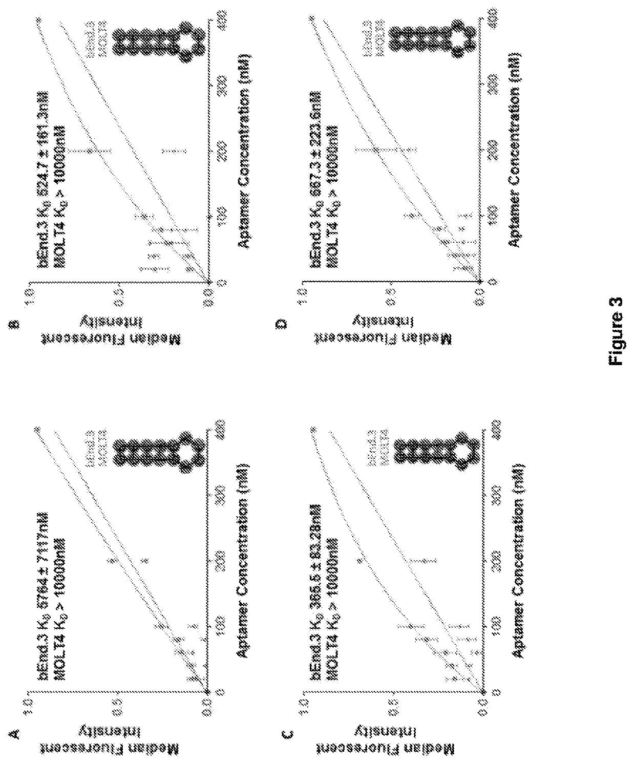 EpCAM aptamers and conjugates thereof