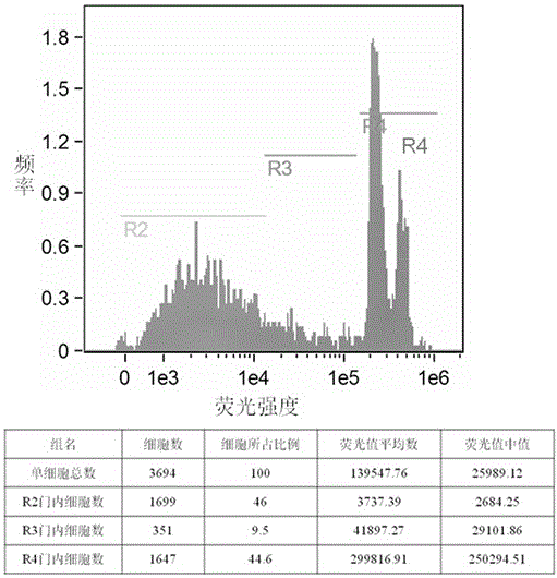 Method for analyzing wheat root tip cell cycle through flow cytometry