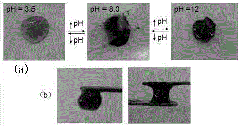 Polymer hydrogel based on Fe3+-dopamine modification and preparing method thereof