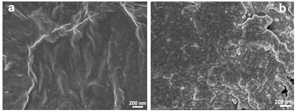 A kind of preparation method of oil shale semi-coke-based composite water-retaining agent