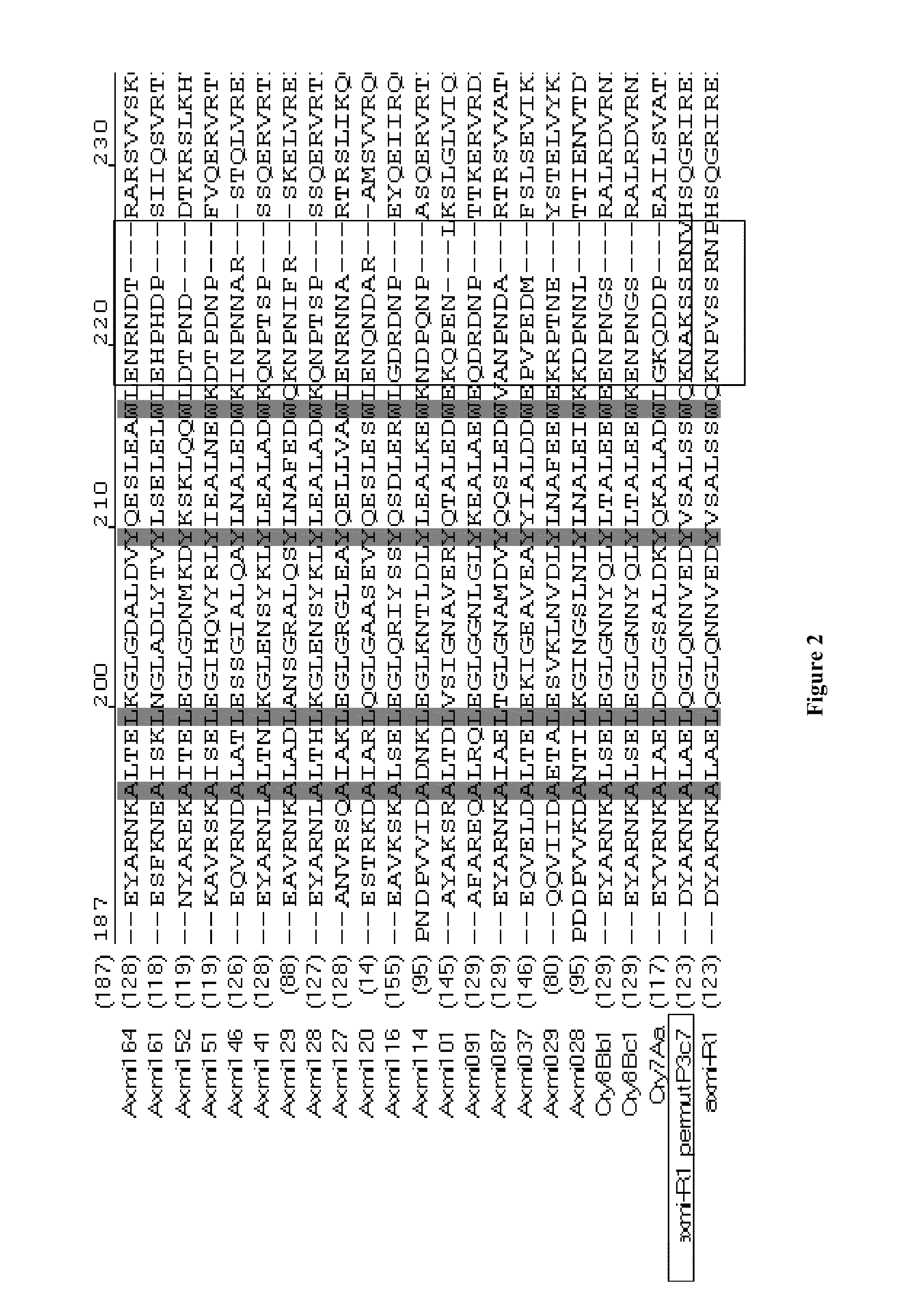 Variant axmi-r1 delta endotoxin genes and methods for their use