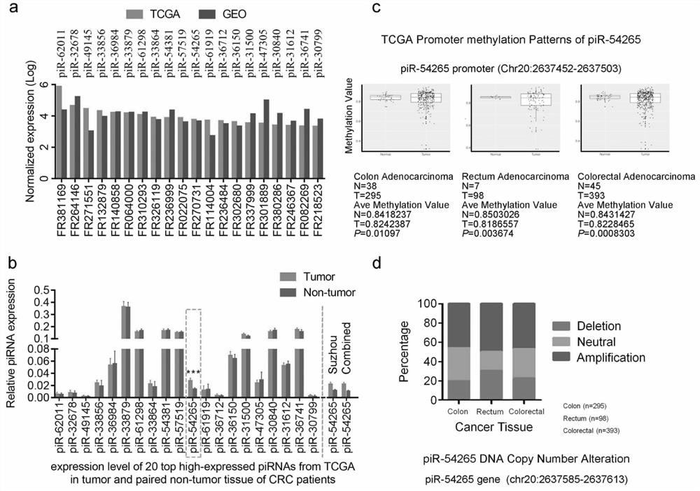 Application of pirna-54265 in the diagnosis, treatment and prognosis evaluation of colorectal cancer