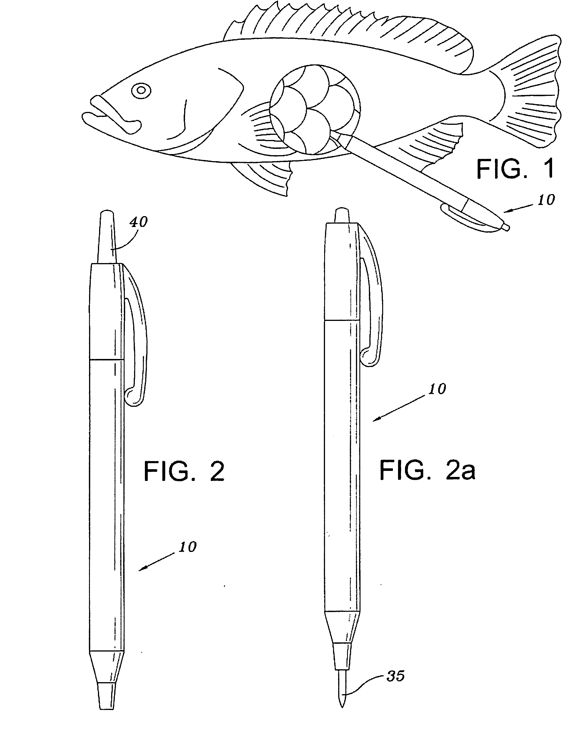 Device for Releasing Gas Trapped in Fish