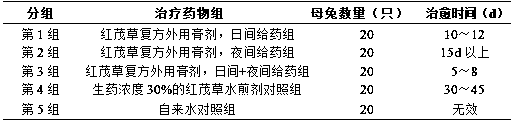 Dicranostigma leptopodum compound externally-used paste for treating mastitis of female rabbits