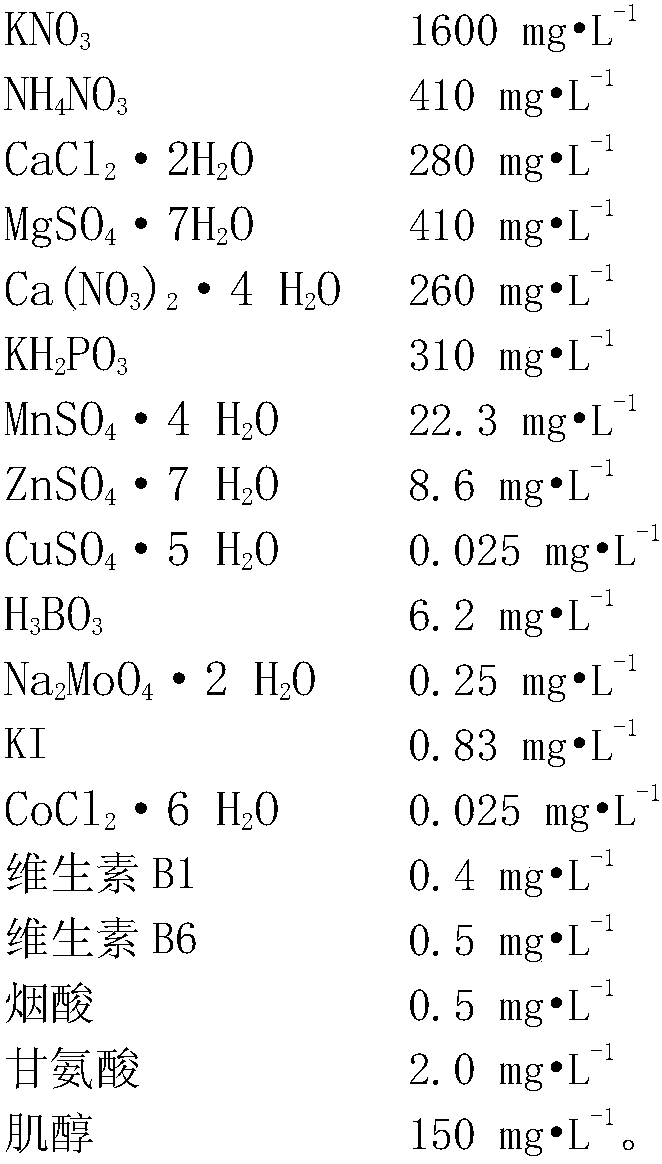 4-Terpineol type Melaleuca alternifolia tissue culture subculture propagation method and its culture medium