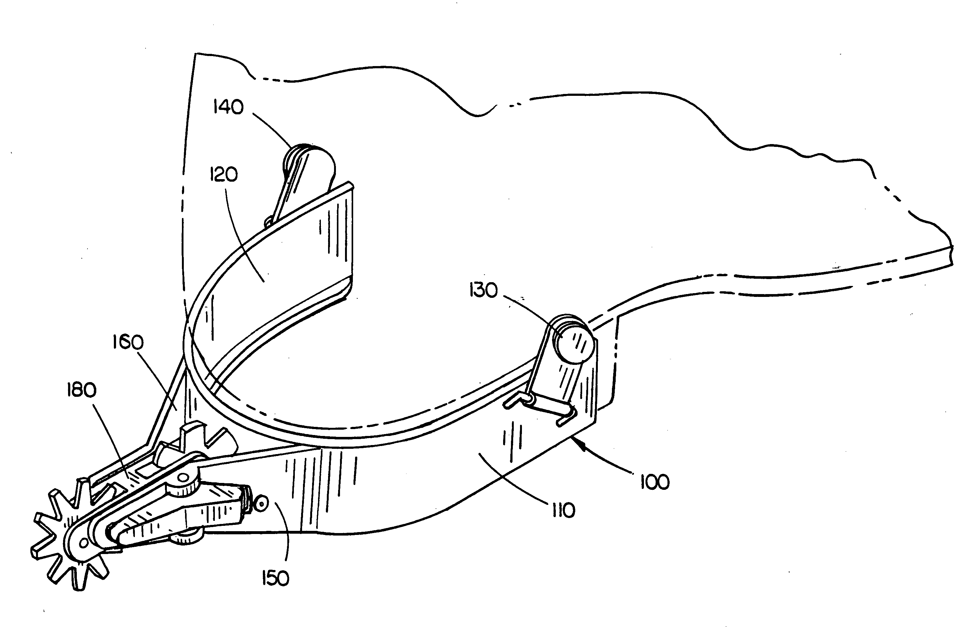 Multiple rowel spur