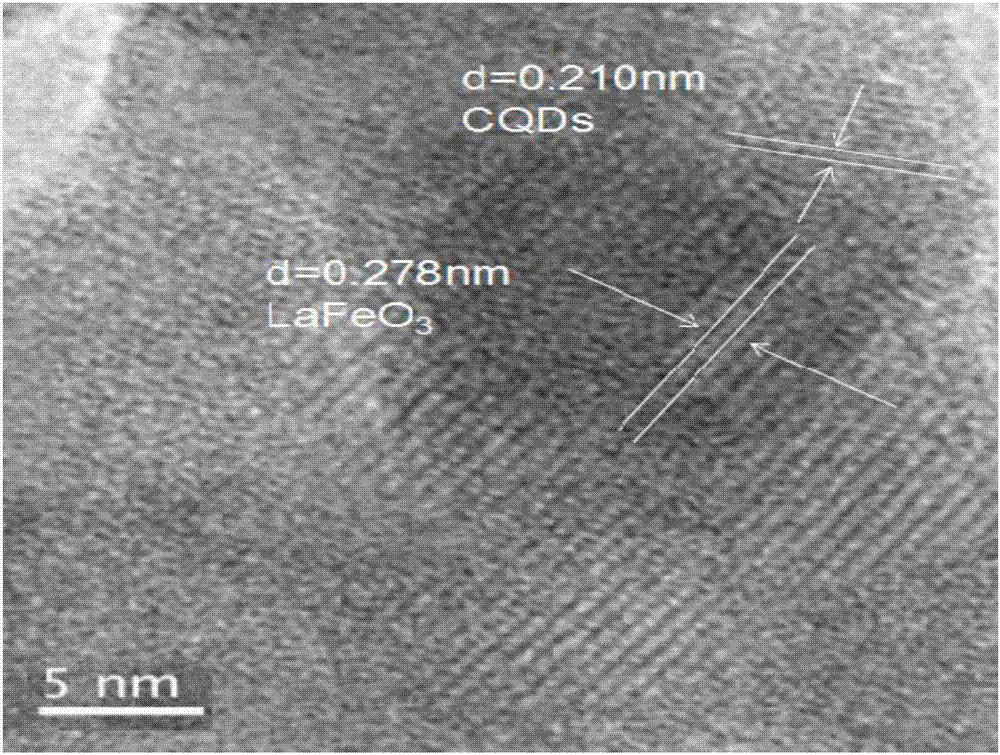 Carbon quantum dot modified lanthanum ferrite/attapulgite nanocomposite material and preparation method and application thereof