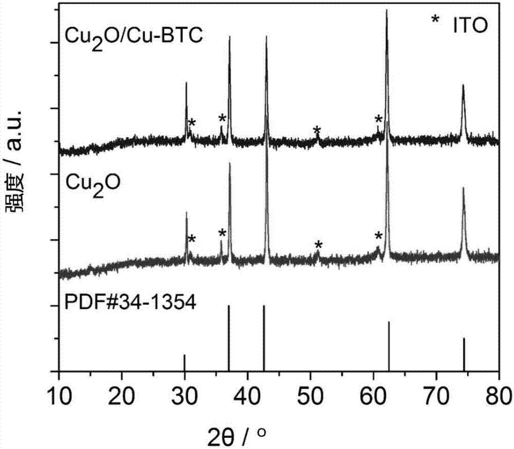 Glucose sensor electrode and preparation method and application thereof