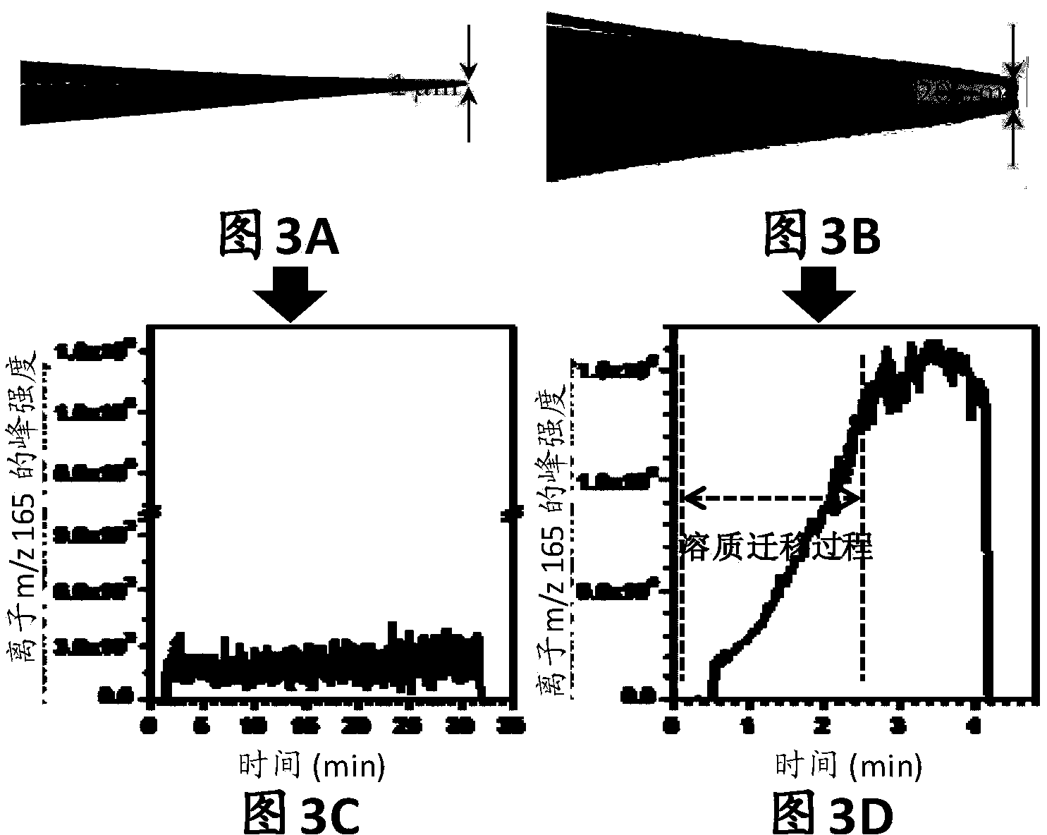 Biological sample spectral analysis method based on solute migration electrospray ionization technique