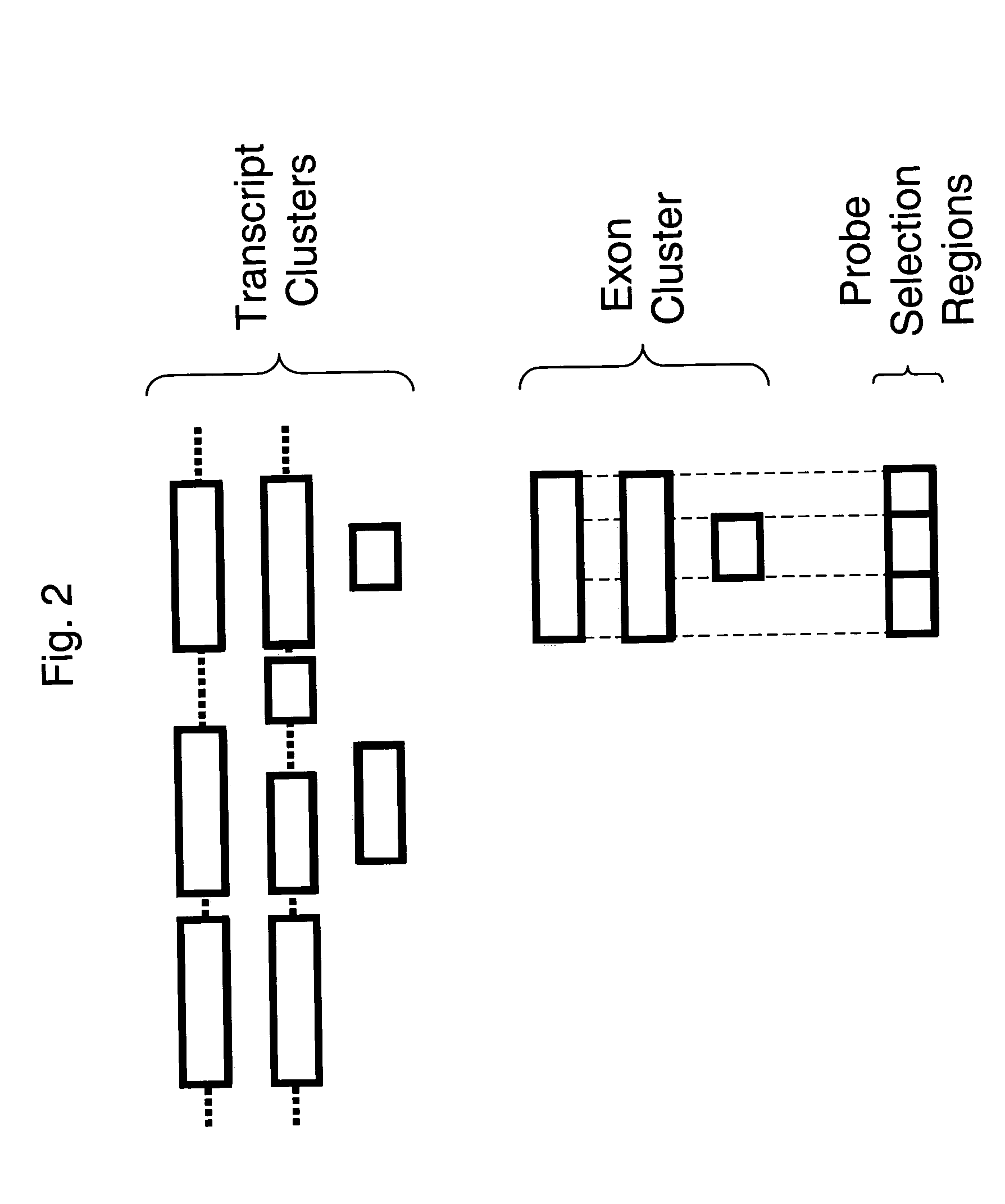 Methods of analysis of alternative splicing in human
