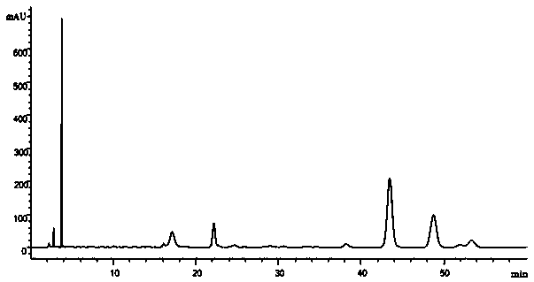 A kind of preparation method and application of Lilei goldenrod polysaccharide extract