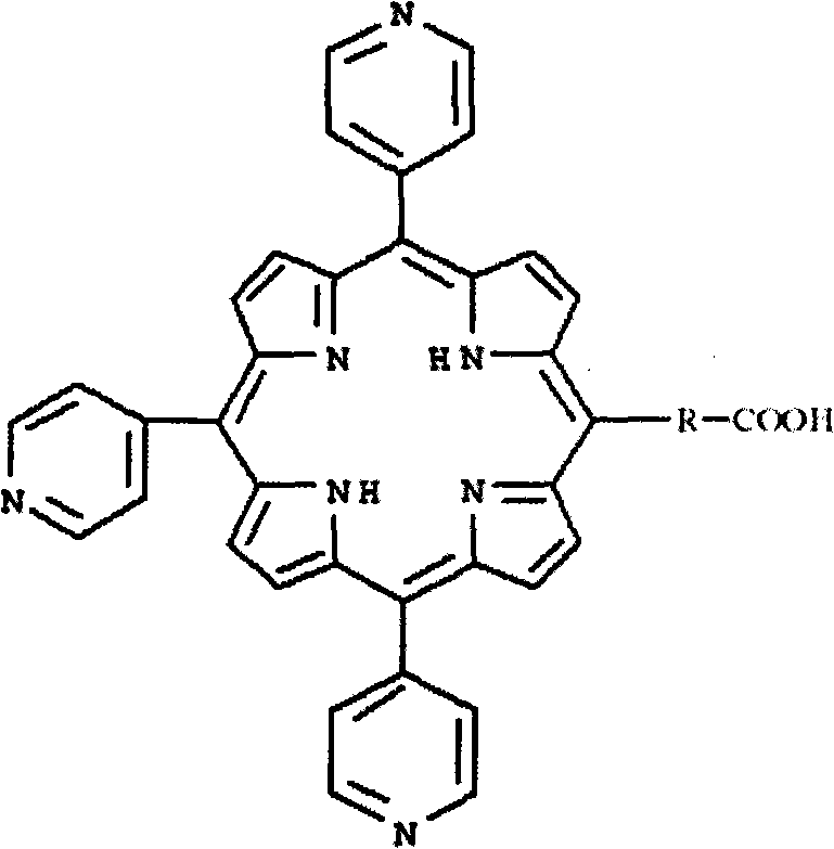 A kit for detecting erbb2 protein and its preparation method