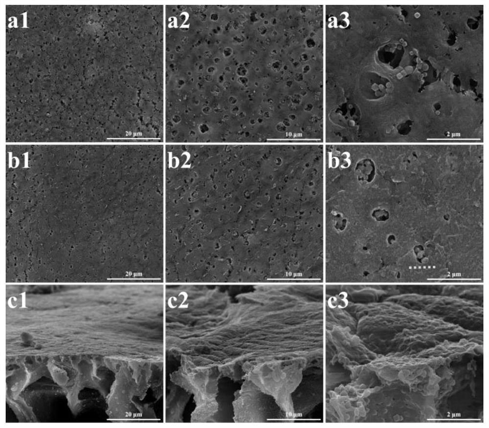 Method for preparing bionic MOFs-based double-layer molecular imprinting nano composite membrane based on double continuous imprinting system and application of bionic MOFs-based double-layer molecular imprinting nano composite membrane