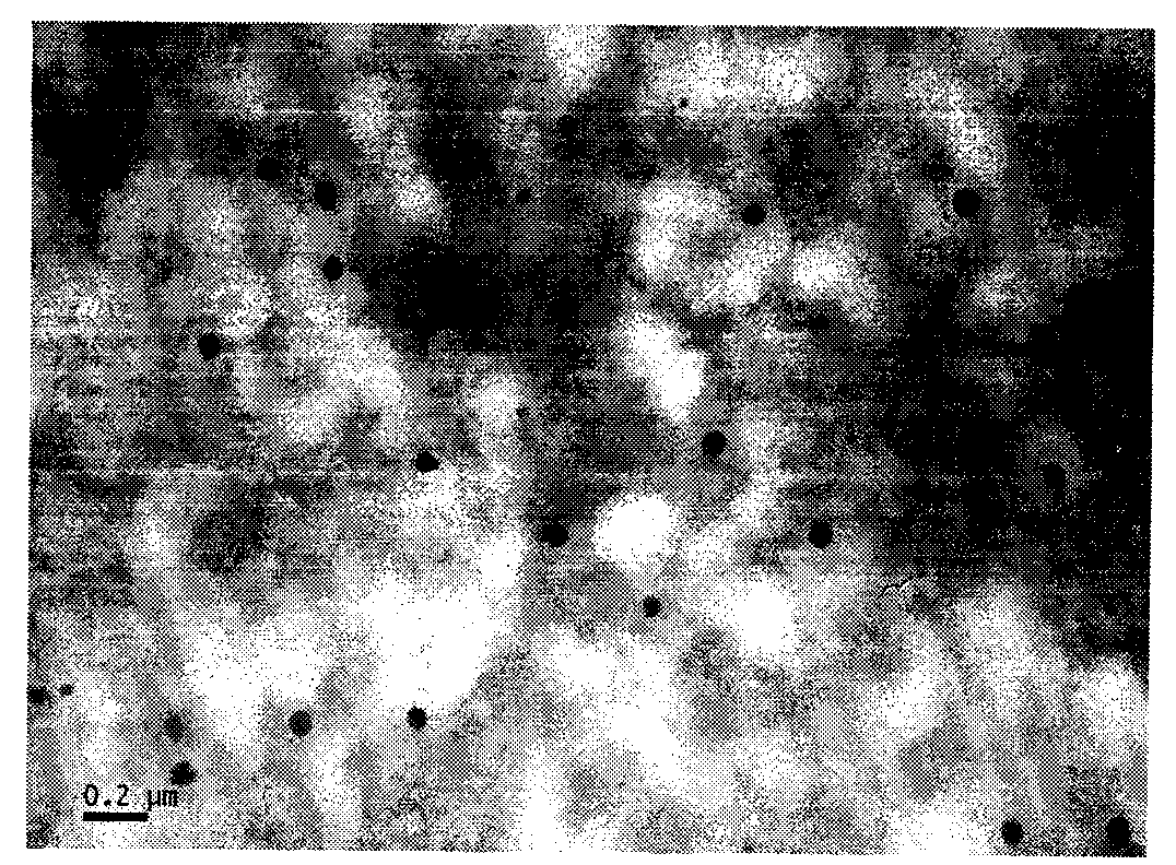 Abscisic acid-embedded chitosan nanoparticles and preparation method thereof