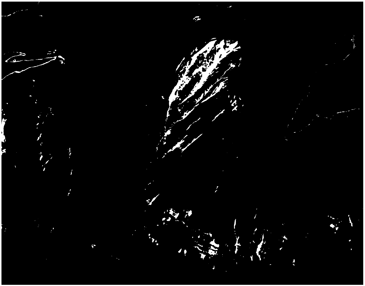 Optical remote sensing automatic identification method for potential landslide considering InSAR deformation factors