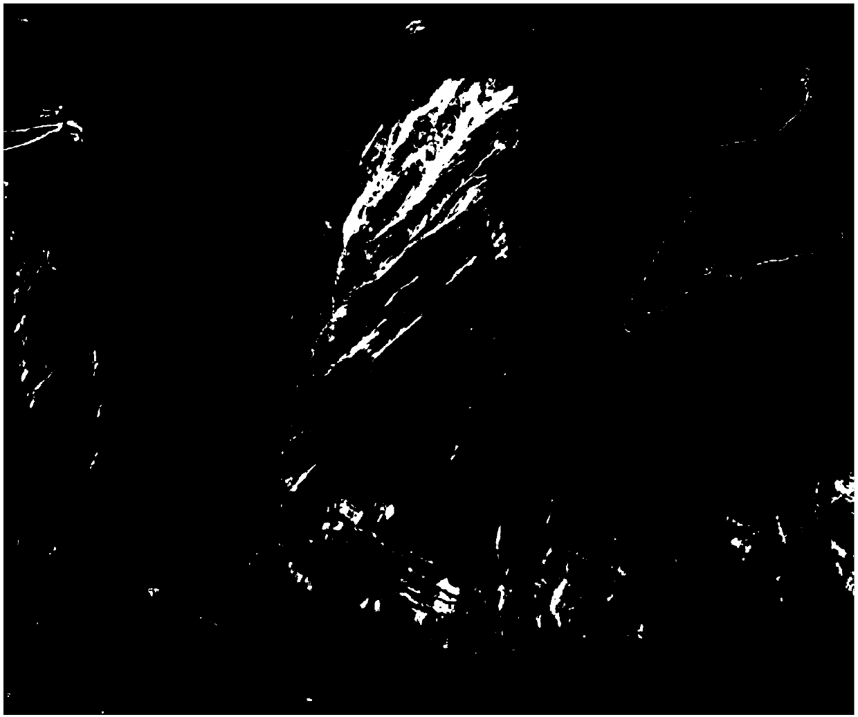 Optical remote sensing automatic identification method for potential landslide considering InSAR deformation factors