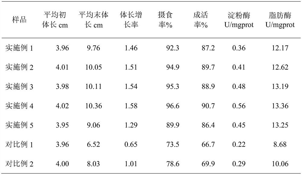 Traditional Chinese medicine algae compound feed for improving immunity of Basa fish fries and preparation method of compound feed