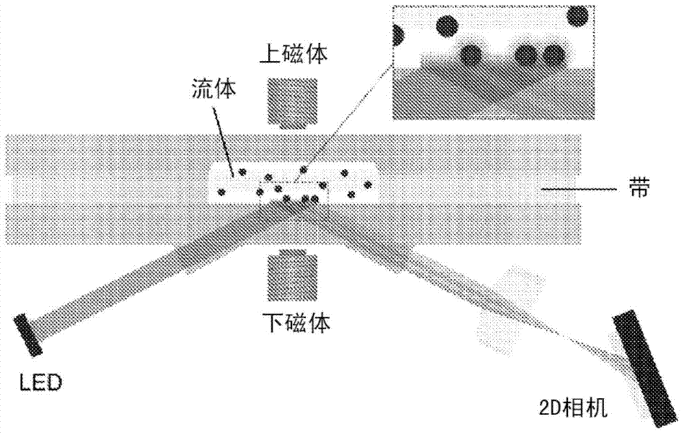 Long rigid spacers to enhance binding kinetics in immunoassays