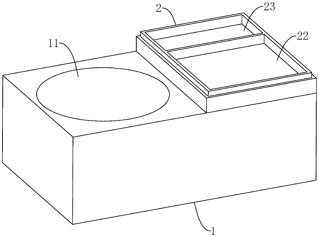 Auxiliary device for making ant specimens