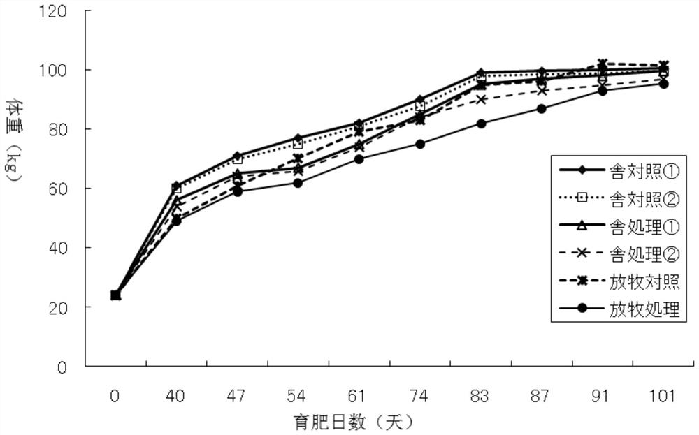 A new type of fermenting lactobacillus and its application in the field of feed and sewage treatment