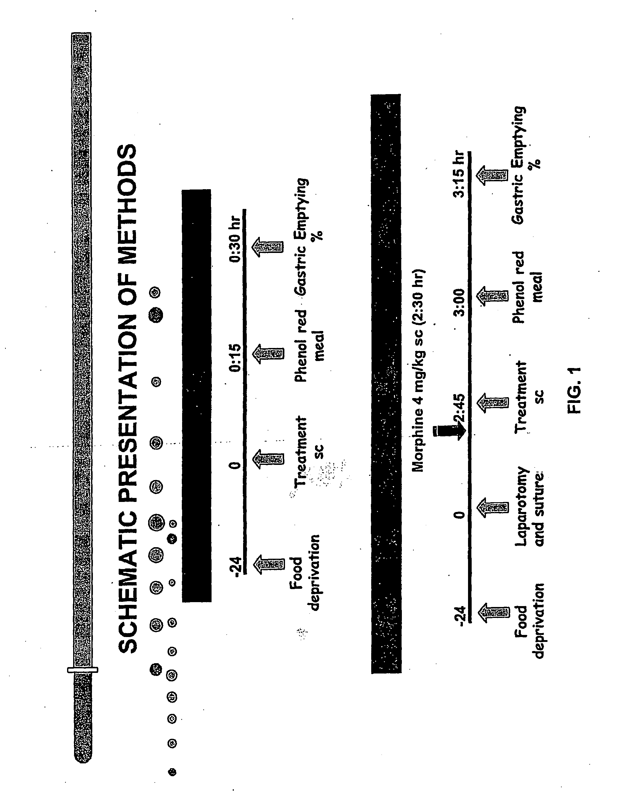 Compositions and Methods for Stimulating Gastrointestinal Motility