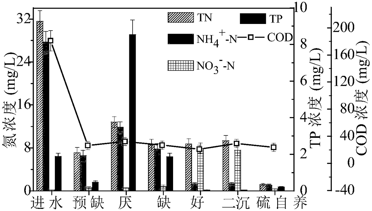 Improved A&lt;2&gt;O and sulphur autotrophy joint nitrogen and phosphorus removal reactor and sewage treatment method