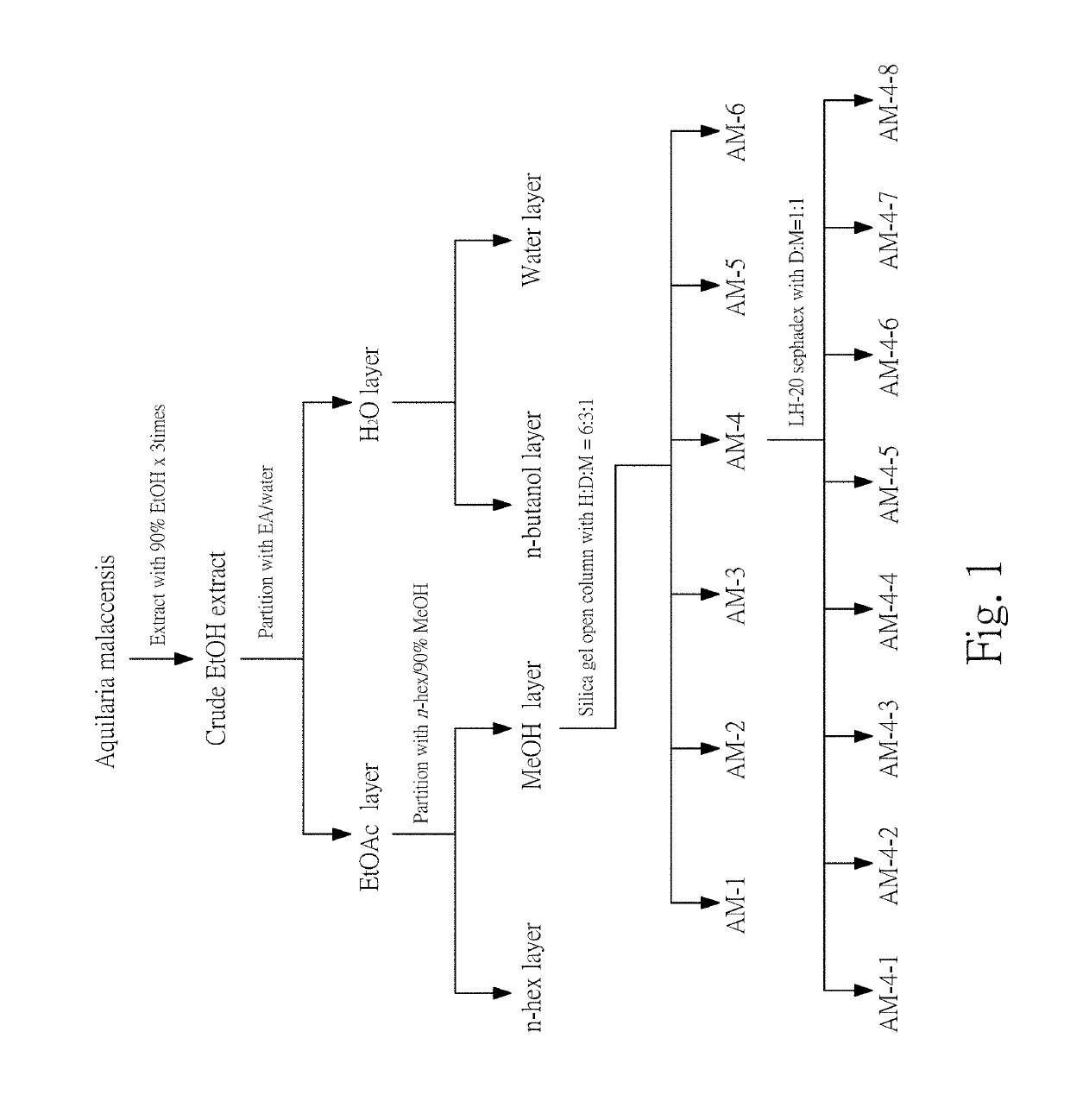 Compositions and methods of antiallergic phorbol ester and phorbol derivatives as the main active ingredients from the seeds of aquilaria malaccensis