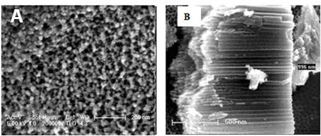 Preparation method and application of metal surface-etched nanoporous array
