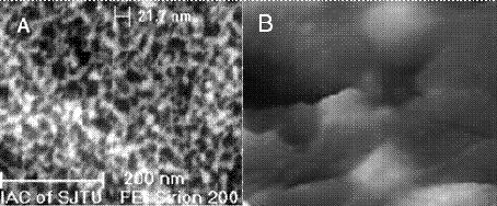 Preparation method and application of metal surface-etched nanoporous array