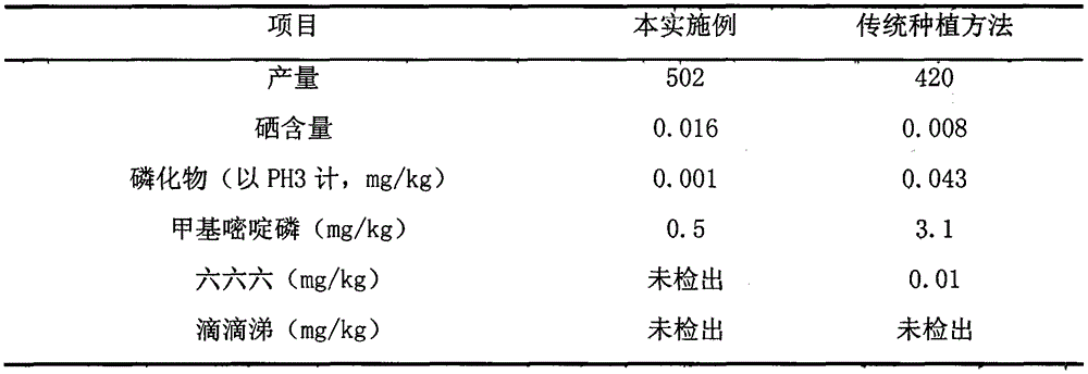 A high-yield cultivation method of organic selenium-enriched rice