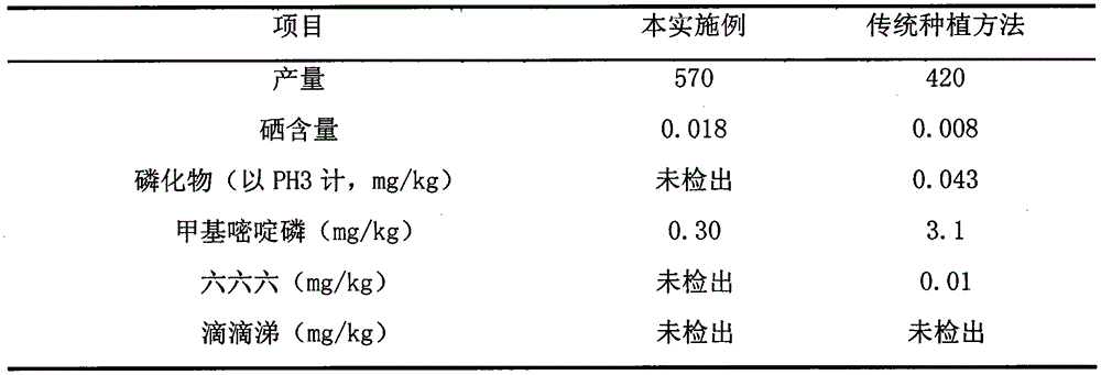 A high-yield cultivation method of organic selenium-enriched rice