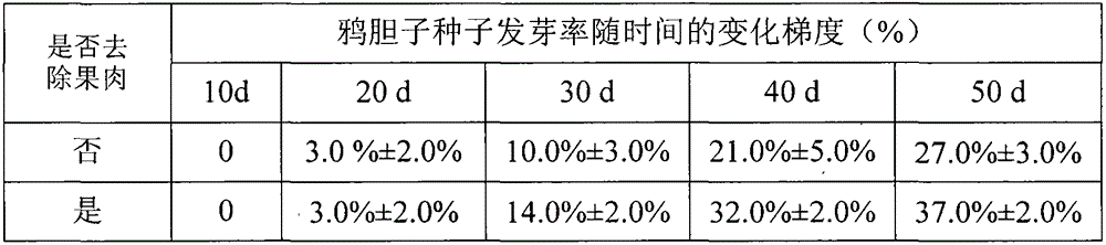 A method for quickly releasing the dormancy of the seeds of Brucea javanica