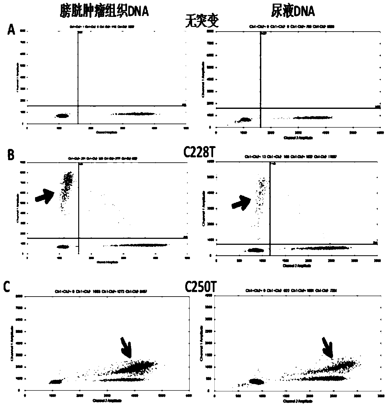 TERT mutation detection kit and application thereof in noninvasive tumor diagnosis