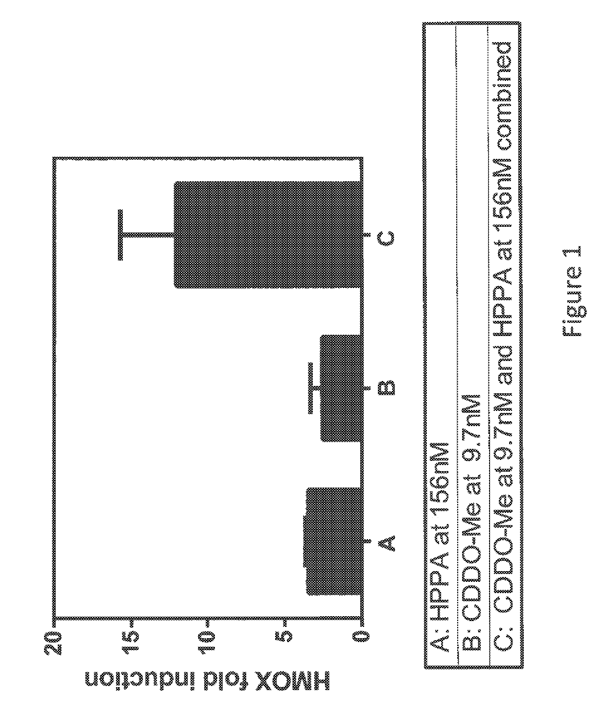 Bach1 inhibitors in combination with Nrf2 activators and pharmaceutical compositions thereof