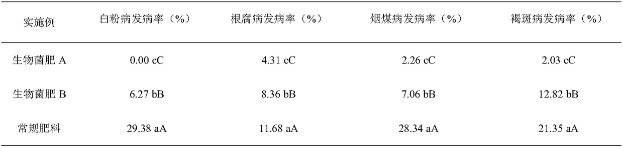 Rosa roxburghii leaf bacterial fertilizer as well as preparation method and application thereof
