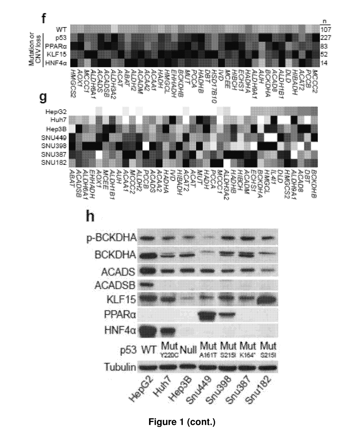 Methods of diagnosing cancer