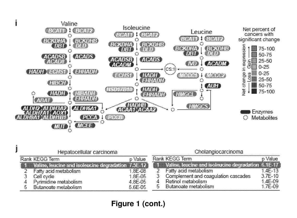 Methods of diagnosing cancer