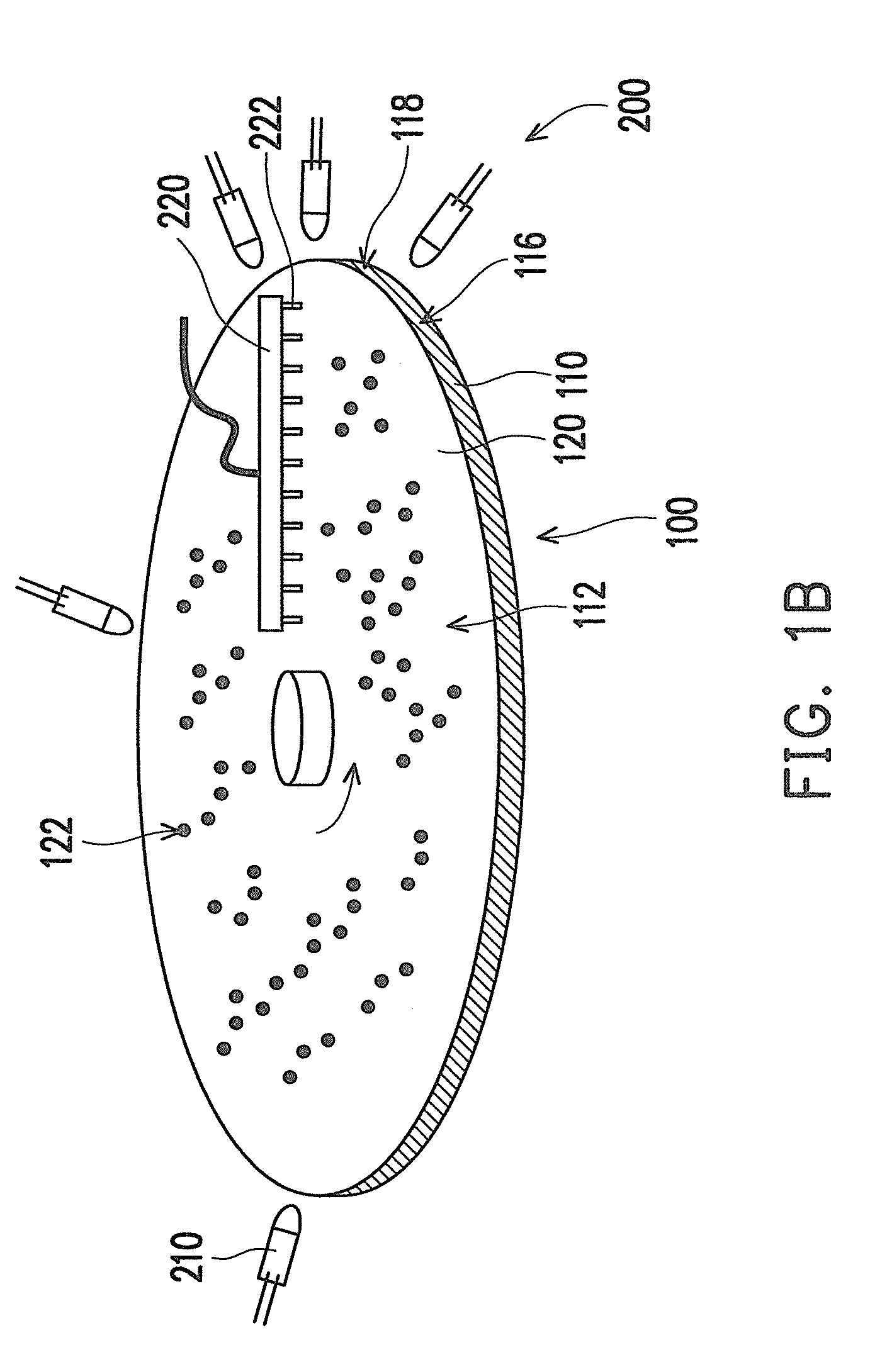 Near field optical disc and near field optical disc reading apparatus