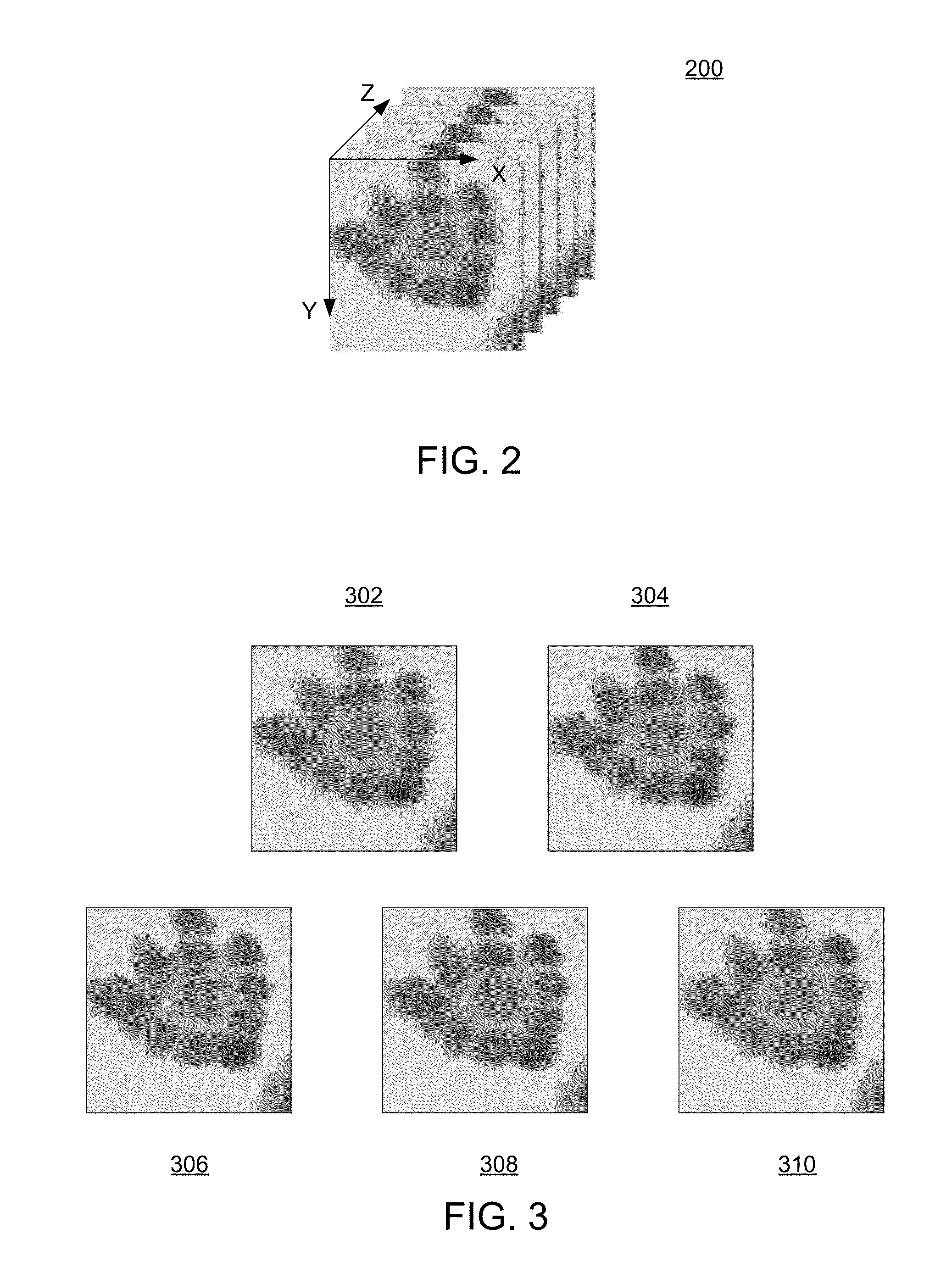 Method and apparatus for improving depth of field (DOF) in microscopy