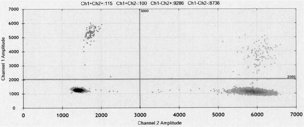 Microdroplet digital PCR (Polymerase Chain Reaction) detection method and kit for ureaplasma urealyticum