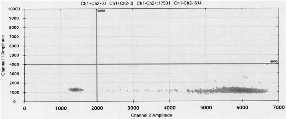 Microdroplet digital PCR (Polymerase Chain Reaction) detection method and kit for ureaplasma urealyticum