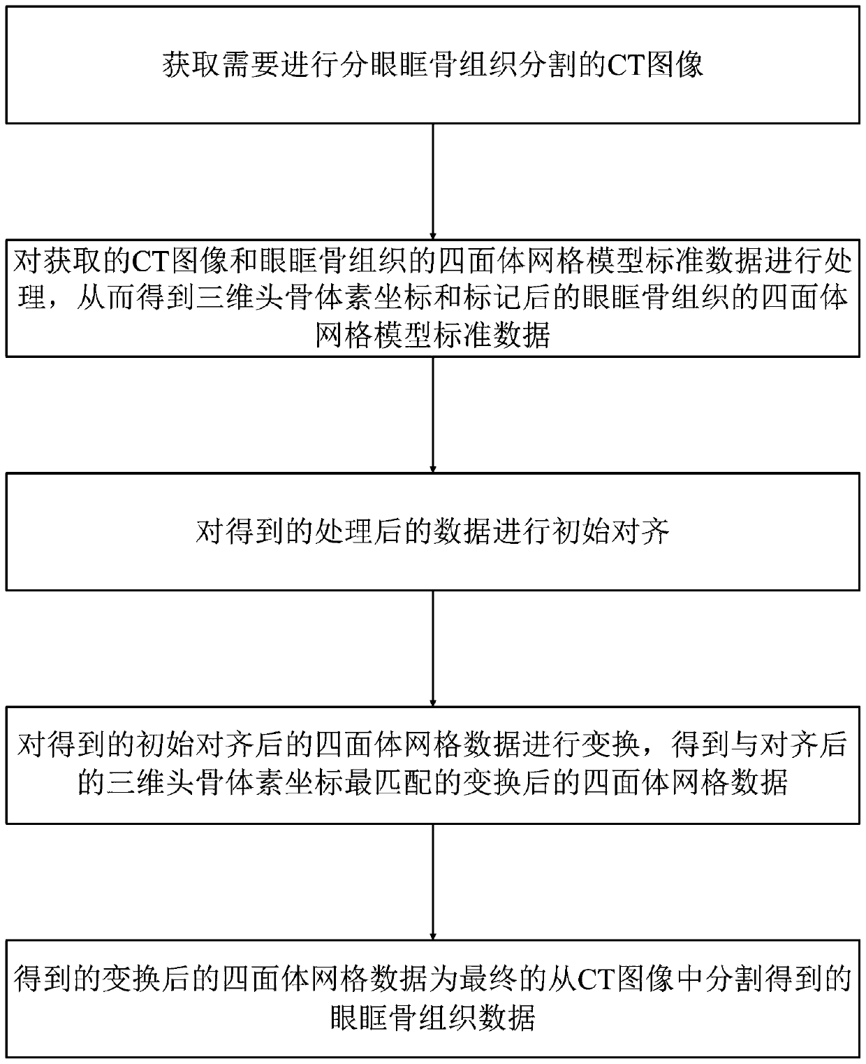 Orbital bone tissue segmentation method based on body registration