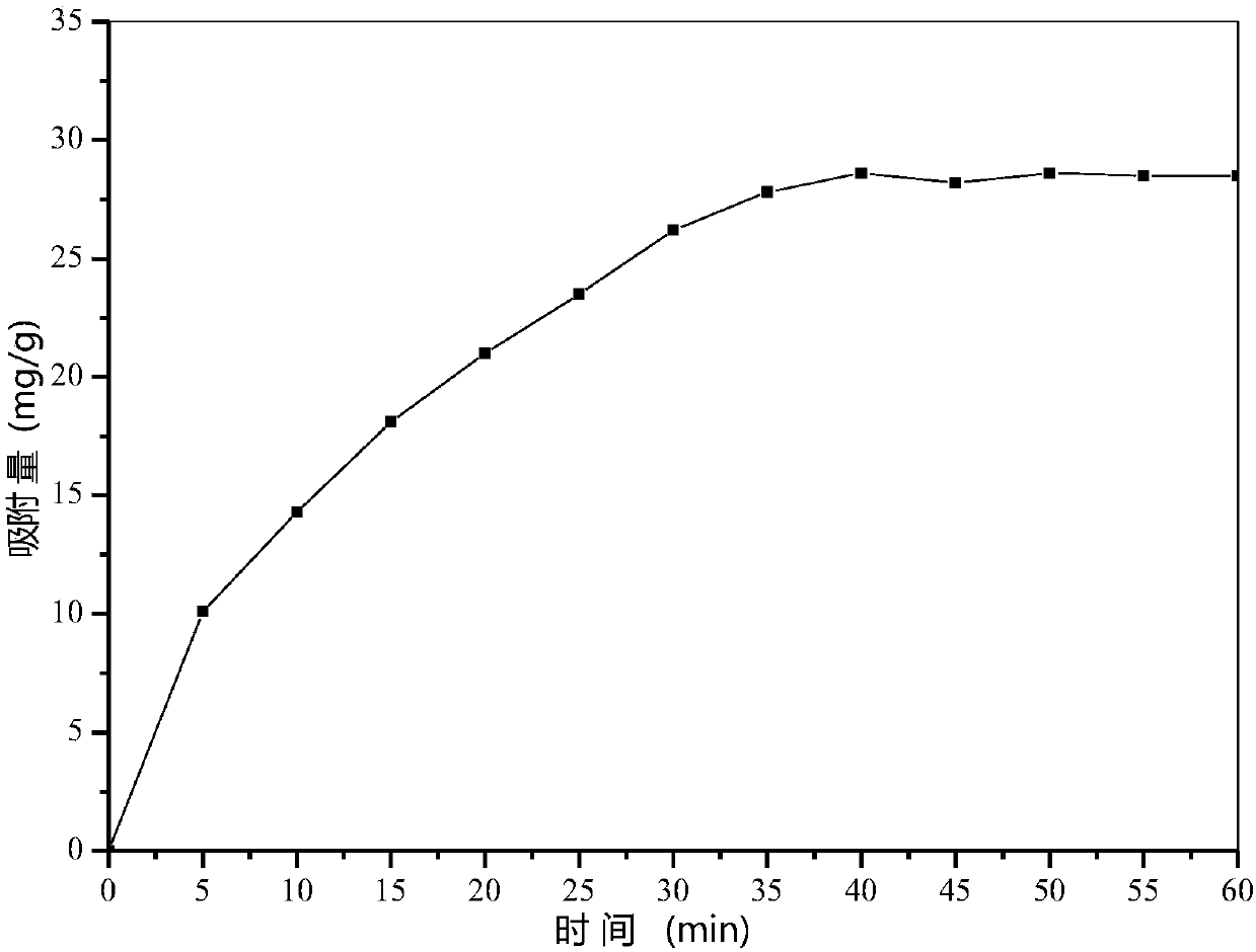 Preparation method and application of mesoporous hydroxyl-ferric oxide Cr (VI) adsorbent