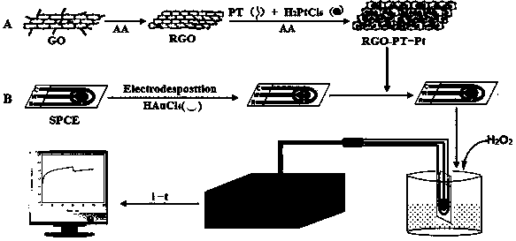 Method for detecting hydrogen peroxide by modifying screen printing electrode by persimmon tannin-graphene-Pt composite material