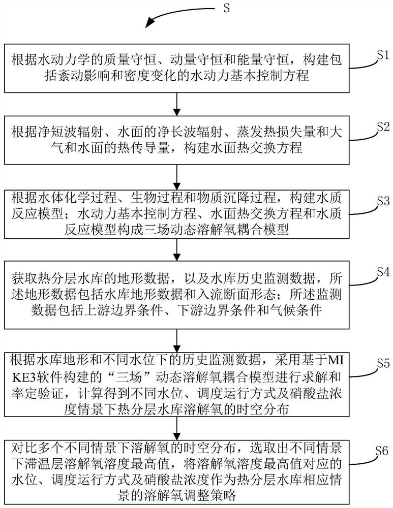 Thermal stratification reservoir three-field dynamic dissolved oxygen coupling model and construction method thereof