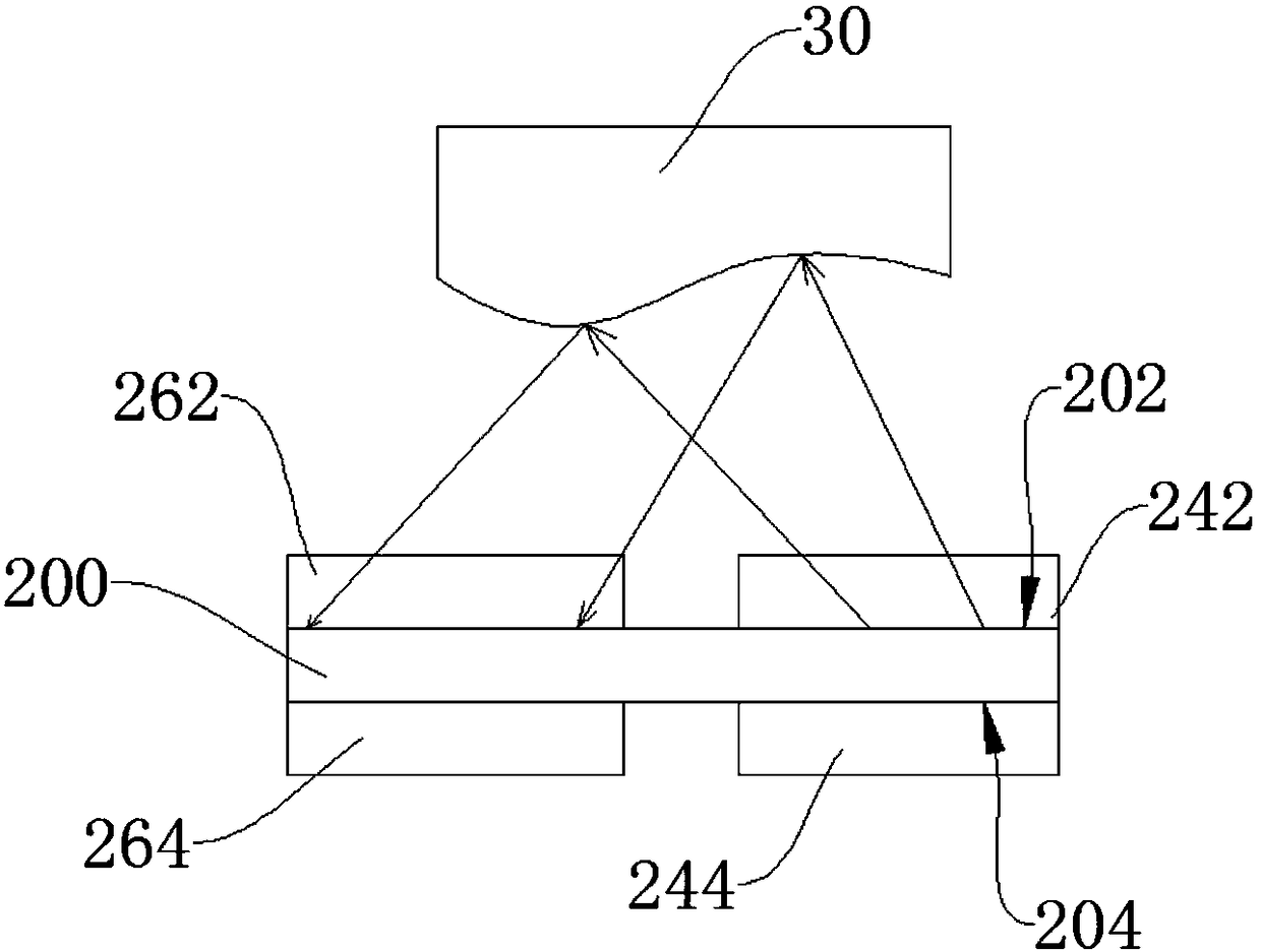 Organic light-emitting diode display screen fingerprint identification apparatus and electronic device