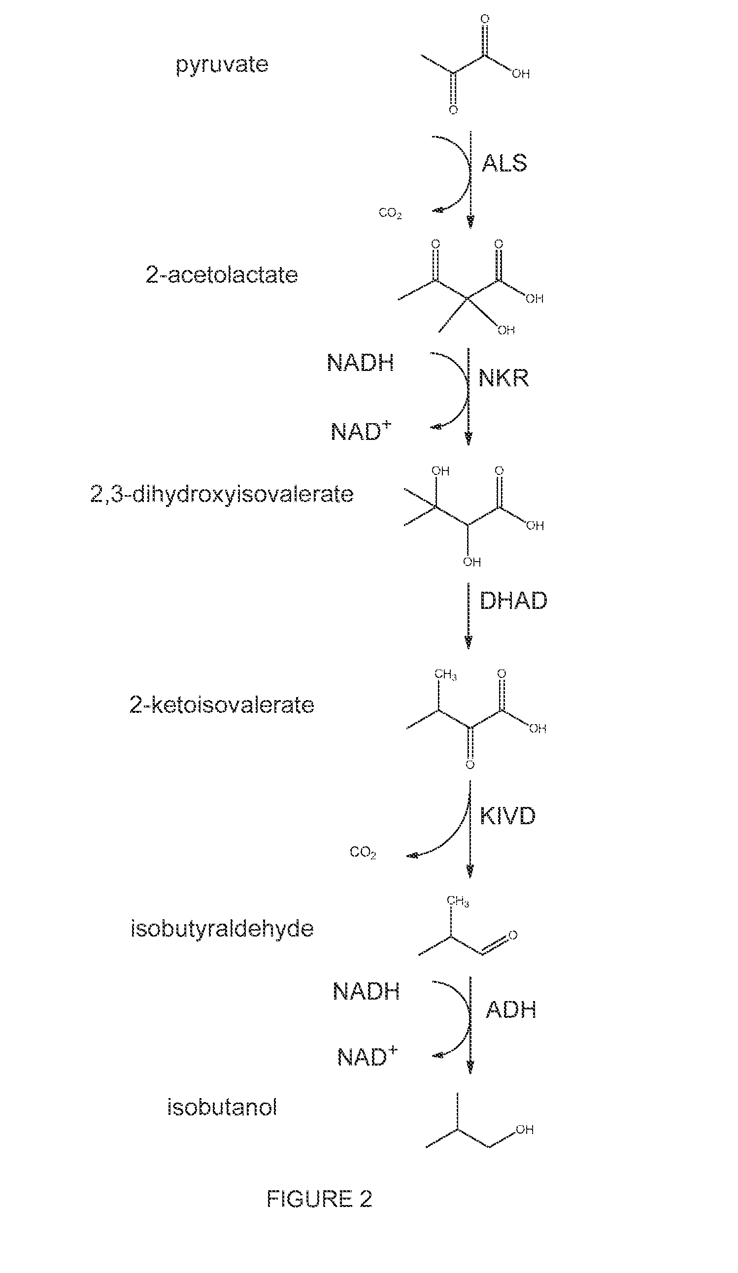 High-Performance Ketol-Acid Reductoisomerases