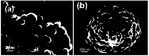 Molybdenum disulfide/nitrogen doped carbon composite material and preparation method and application thereof