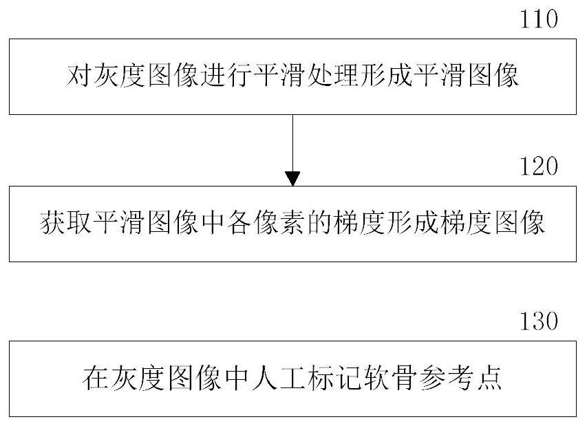 Cartilage recognition method and recognition system in medical imaging