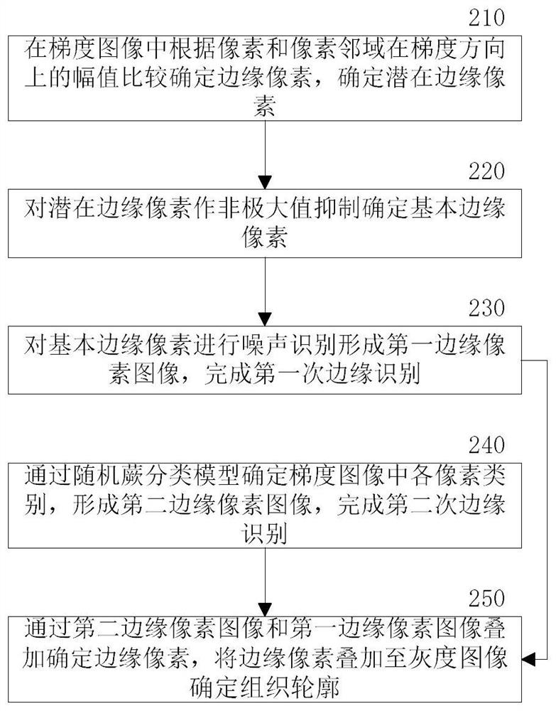 Cartilage recognition method and recognition system in medical imaging